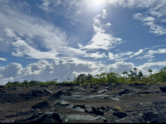 Aloha Aina Tours-希洛必去景点