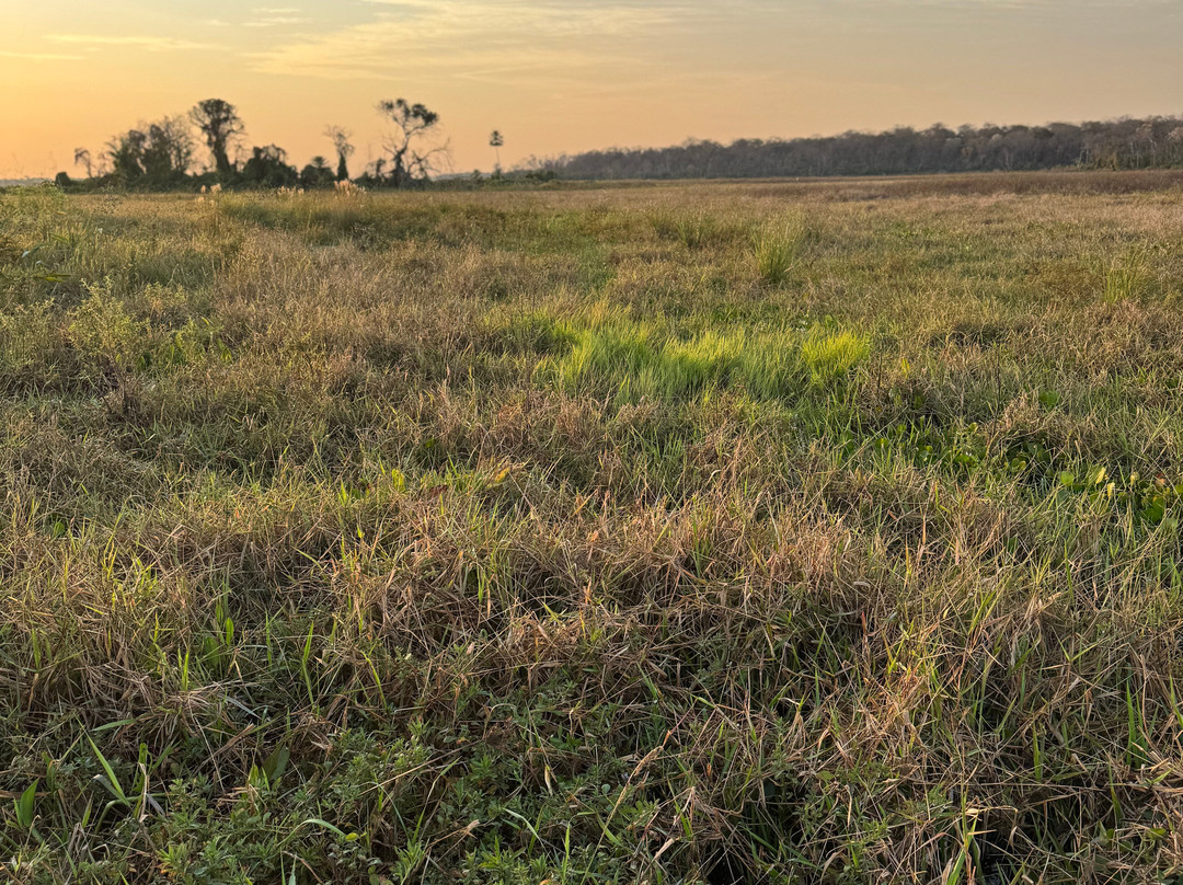 Caiman Ecological Refuge-米兰达必去景点