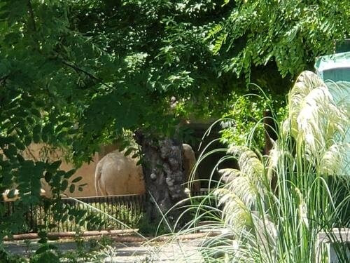 Eco Parque-布宜诺斯艾利斯必去景点