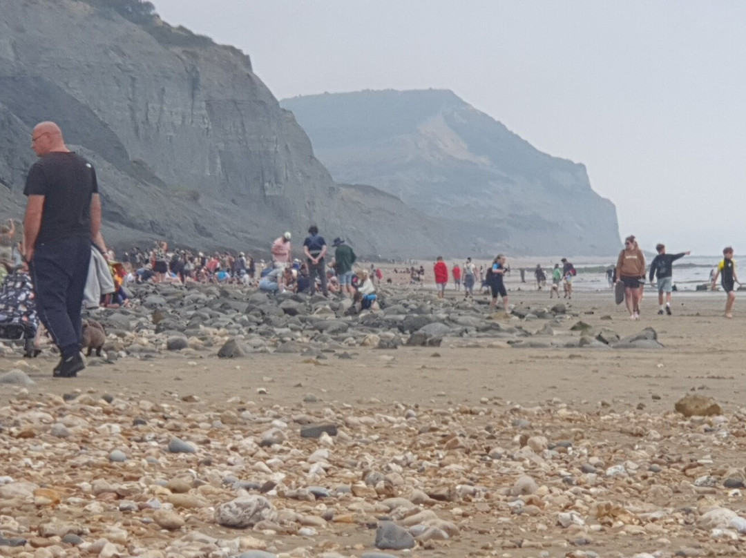 Charmouth Beach-Charmouth必去景点