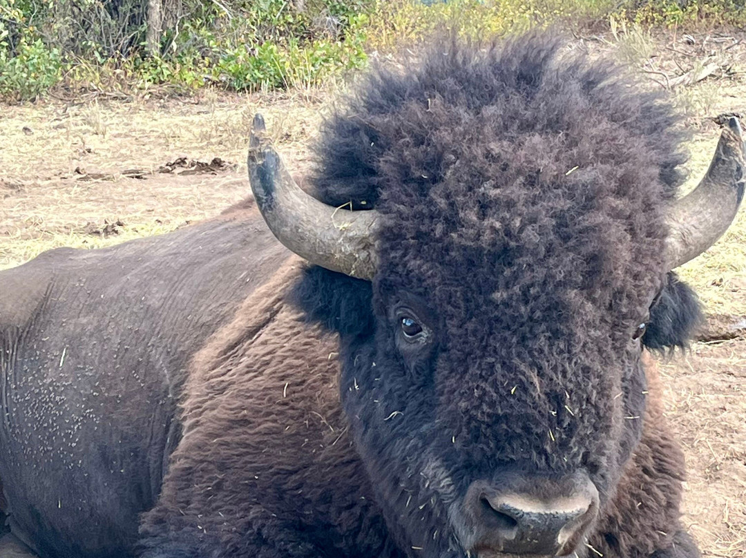 Lucky 8 Ranch-Oak Creek必去景点