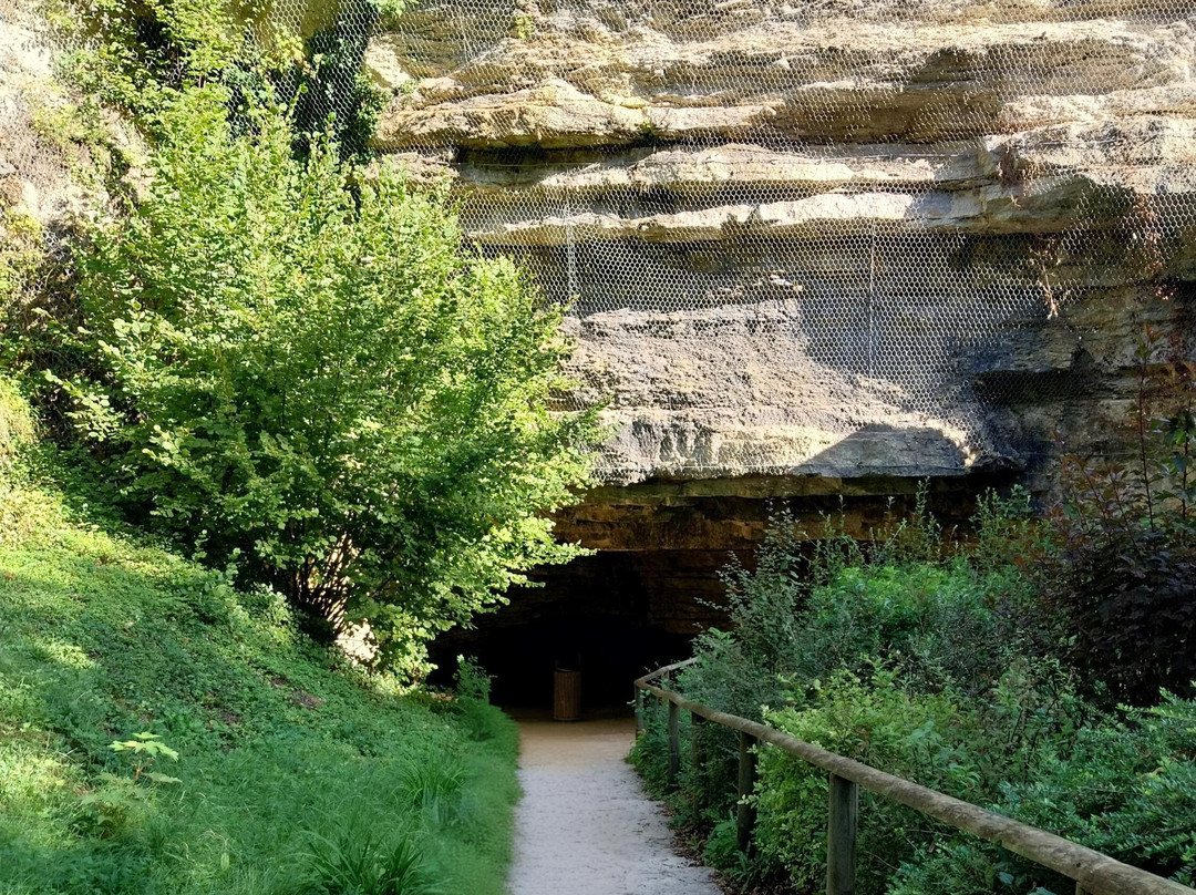 Les Grottes de Bèze-Beze必去景点