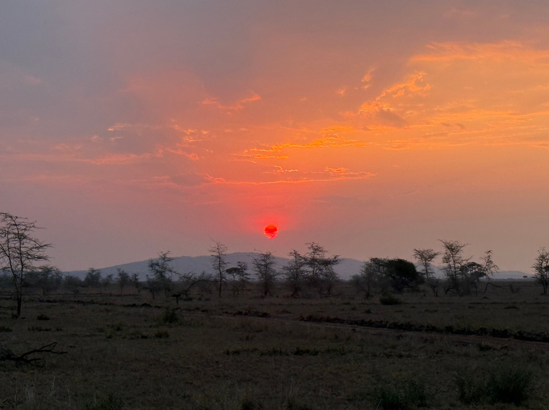 GMExpeditions-阿鲁沙必去景点