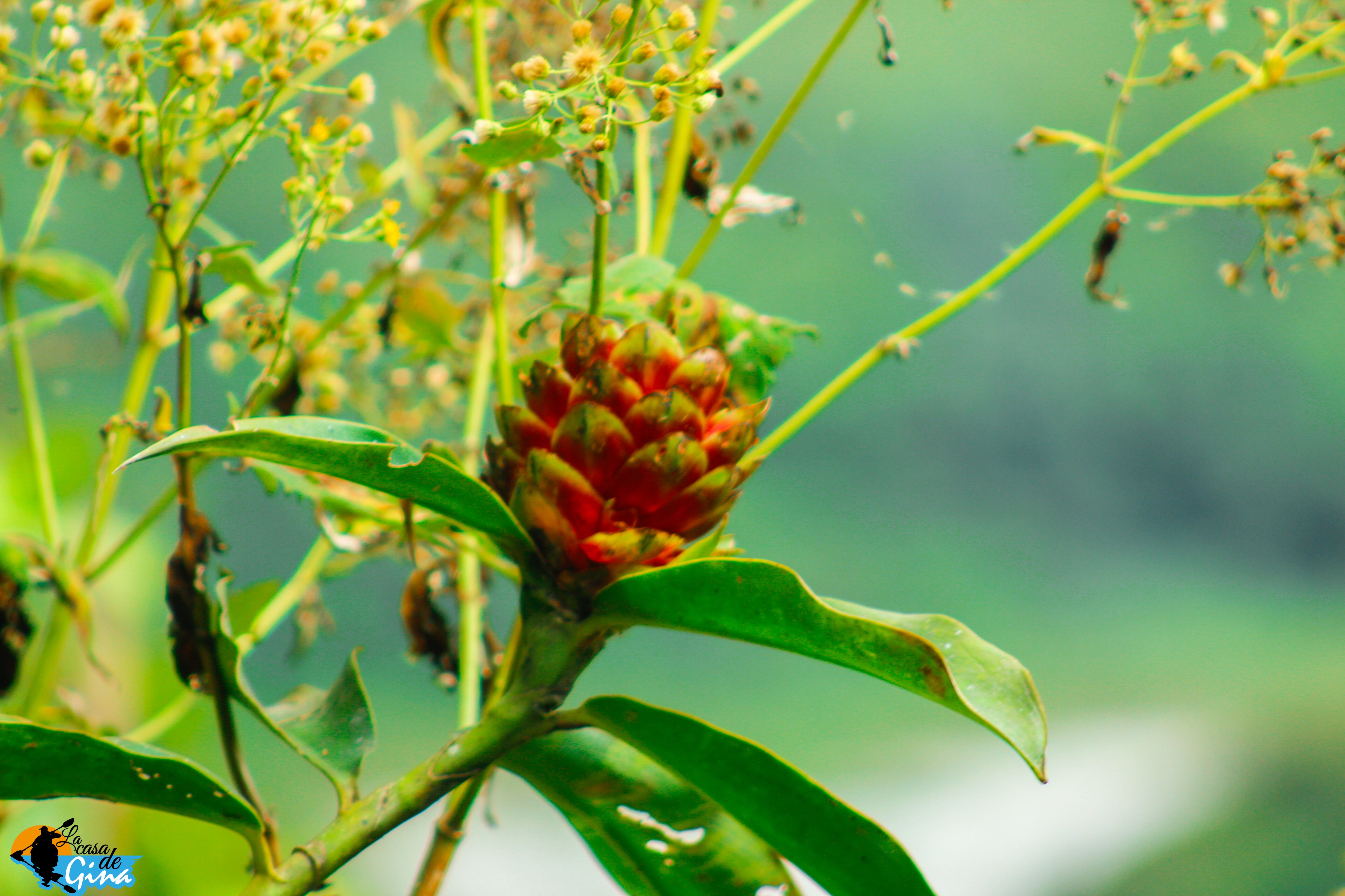 Casa Del Rio-酒店景观