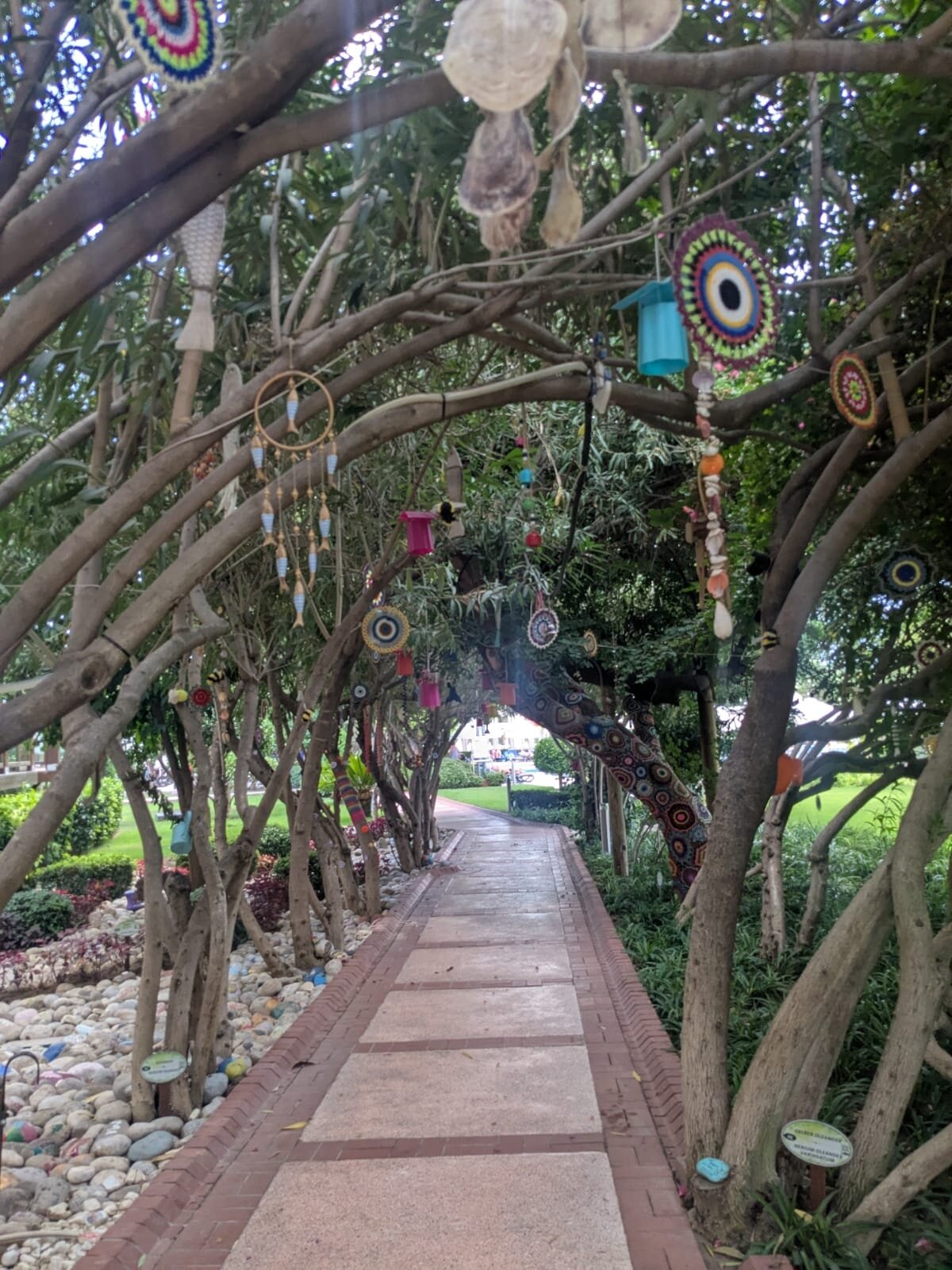 Oleander Hotel-官方