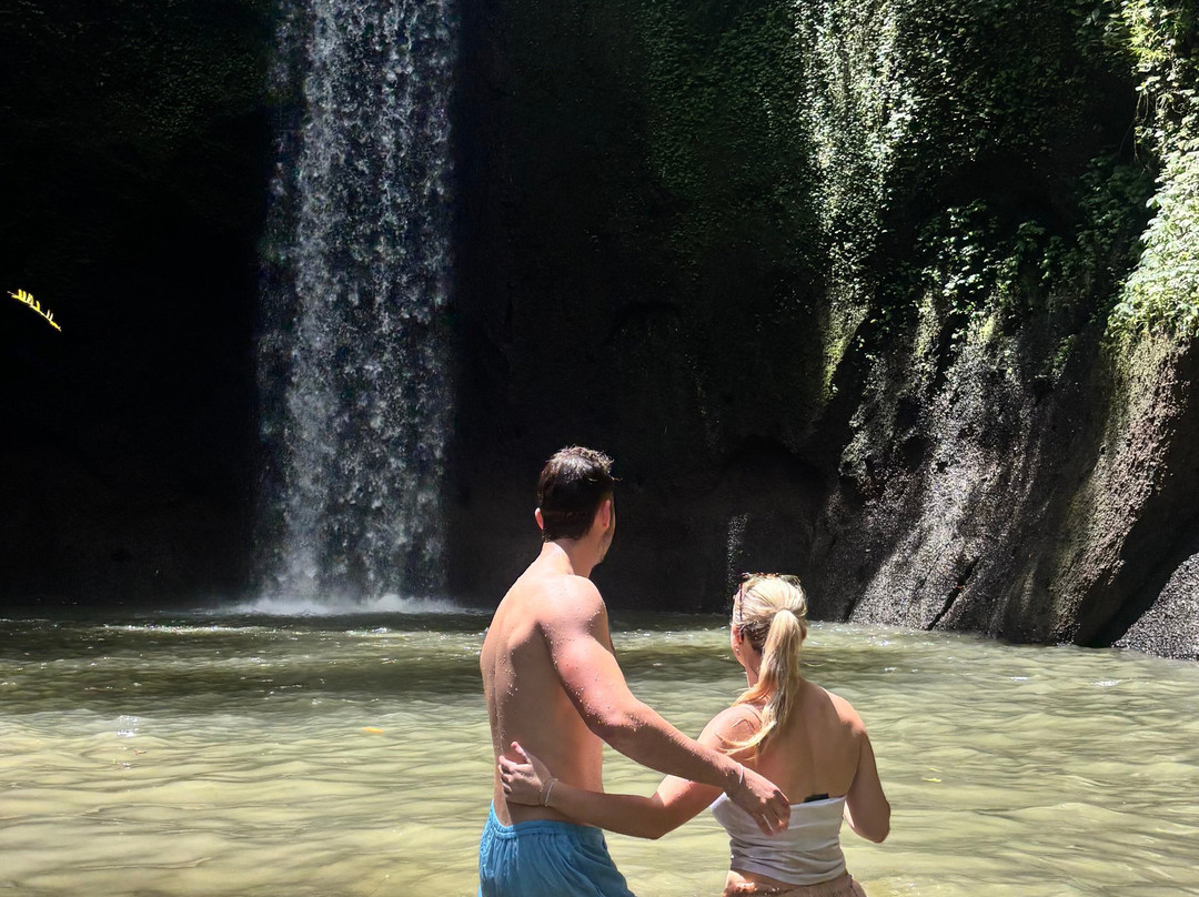 Driver Ubud-乌布必去景点