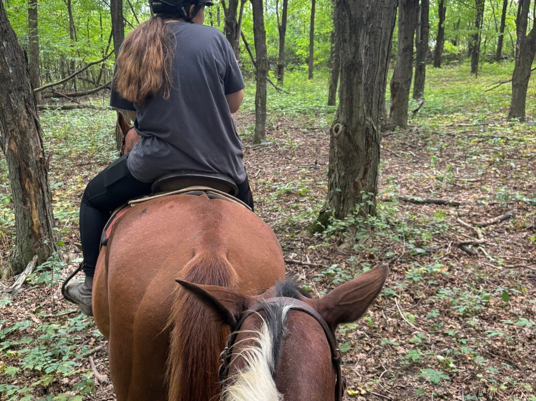 Breakaway Farm-Grand Isle必去景点