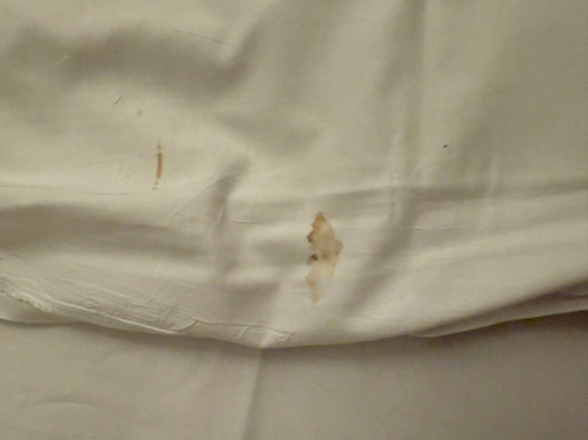 The Social Hub San Sebastián