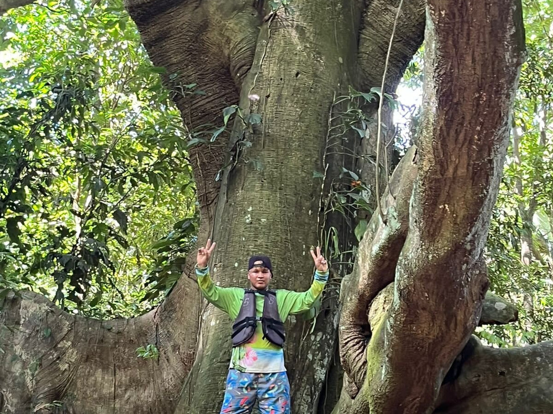 Makuro Kalguasha-帕洛米诺必去景点