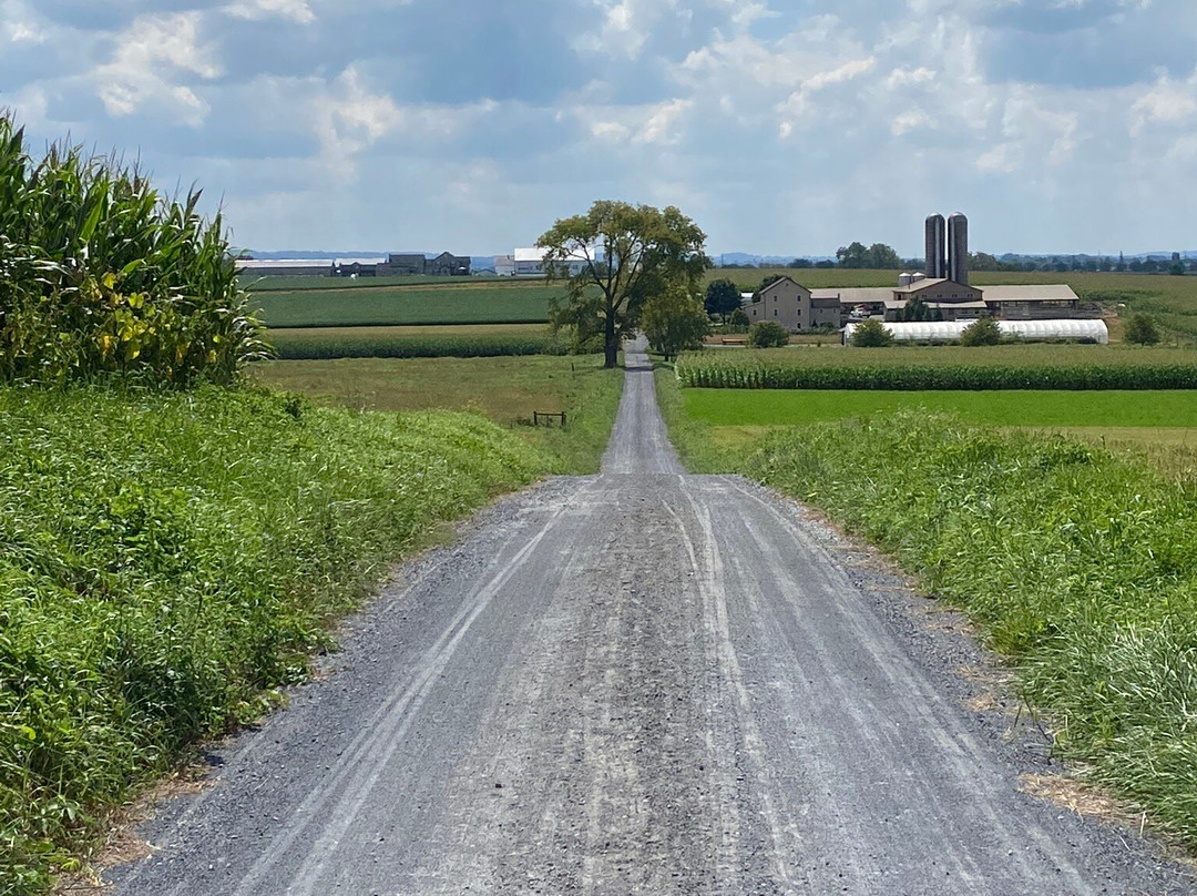 Abe's Buggy Rides-Bird in Hand必去景点