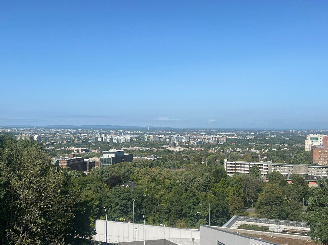 Native Tours-蒙特利尔必去景点