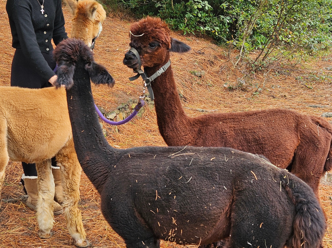 Reuthe's The Lost Gardens Of Sevenoaks-Sevenoaks必去景点