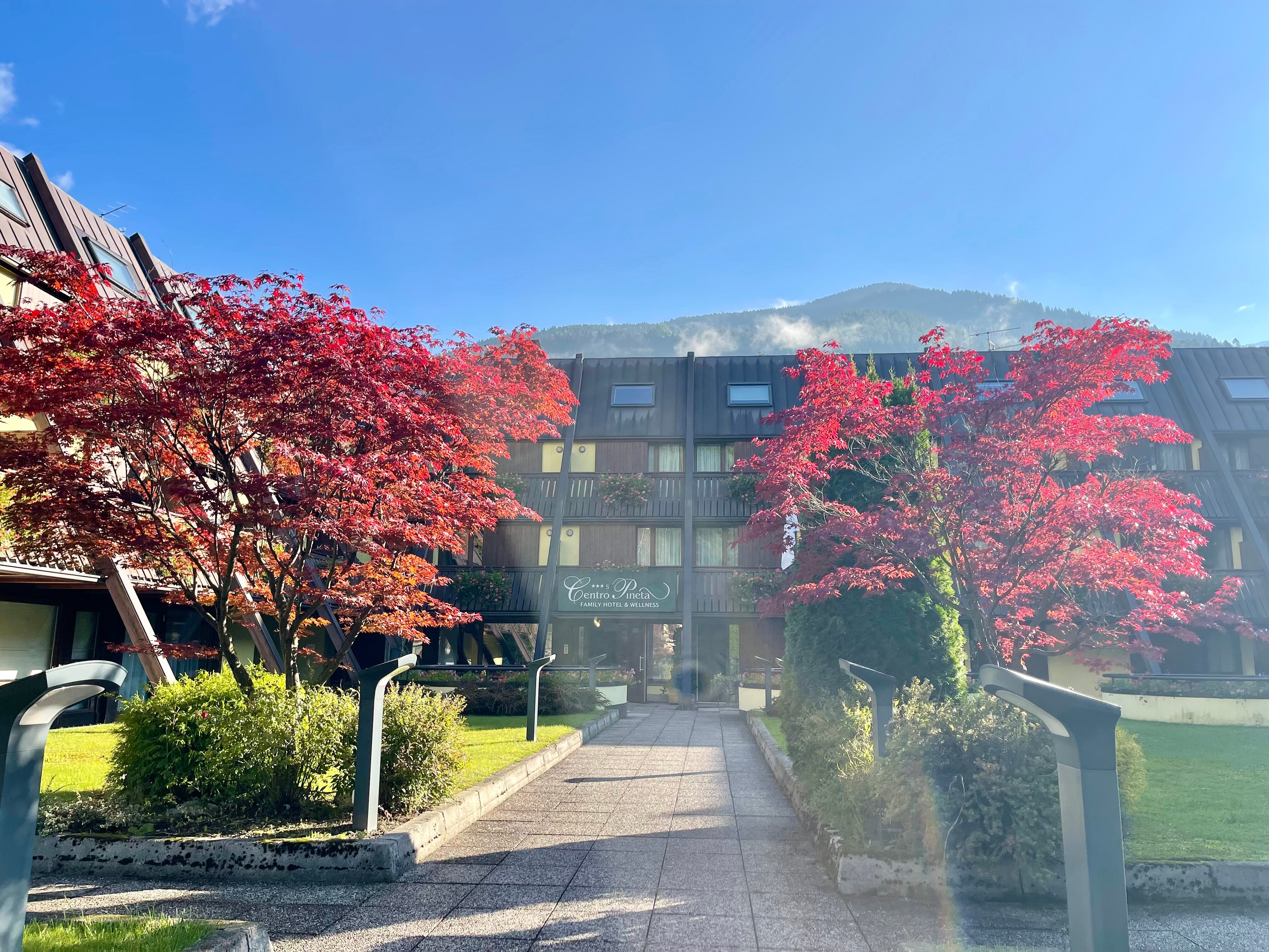 Centro Pineta Family Hotel & Wellness-官方