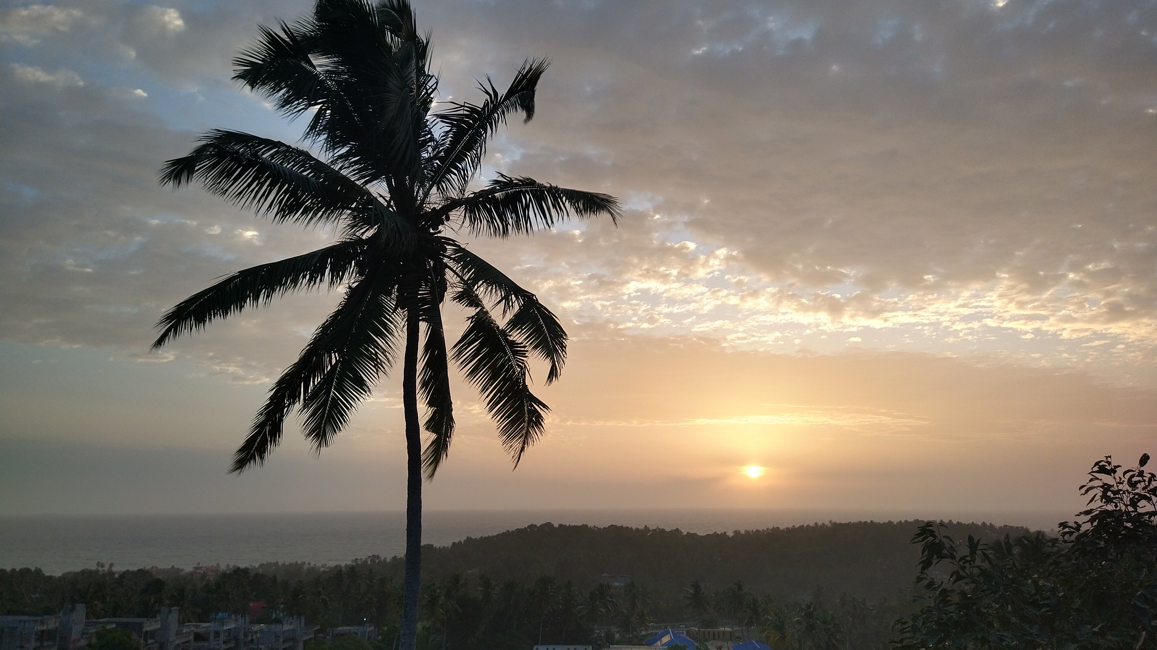 Aanandakosha Ayurveda Retreat-酒店景观