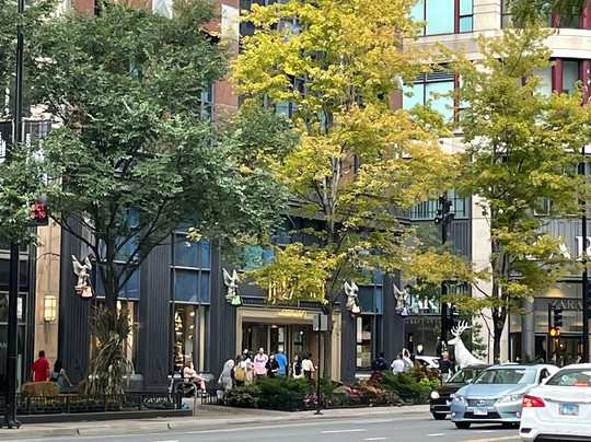 Harry Potter Shop Chicago-芝加哥必去景点