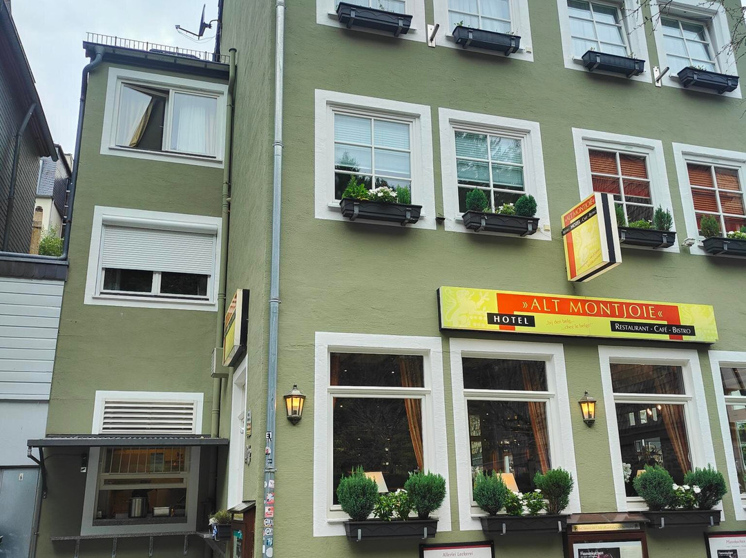 Hotel Alt Montjoie主图