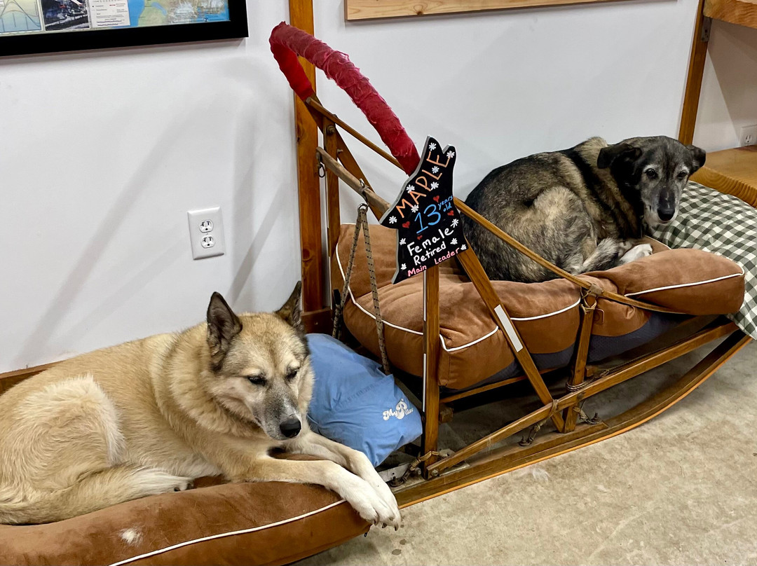 MIDOG - Michigan's Summer Sled Dog Center-Newberry必去景点