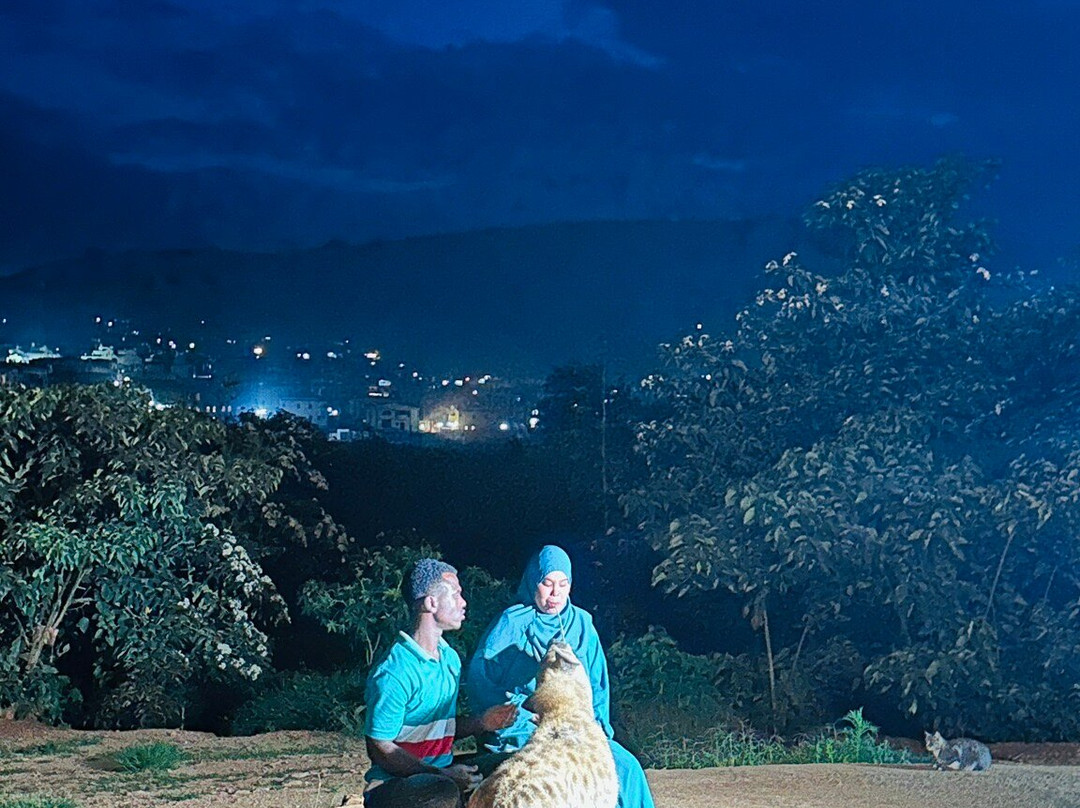 Teddy Harar tour-哈勒尔必去景点