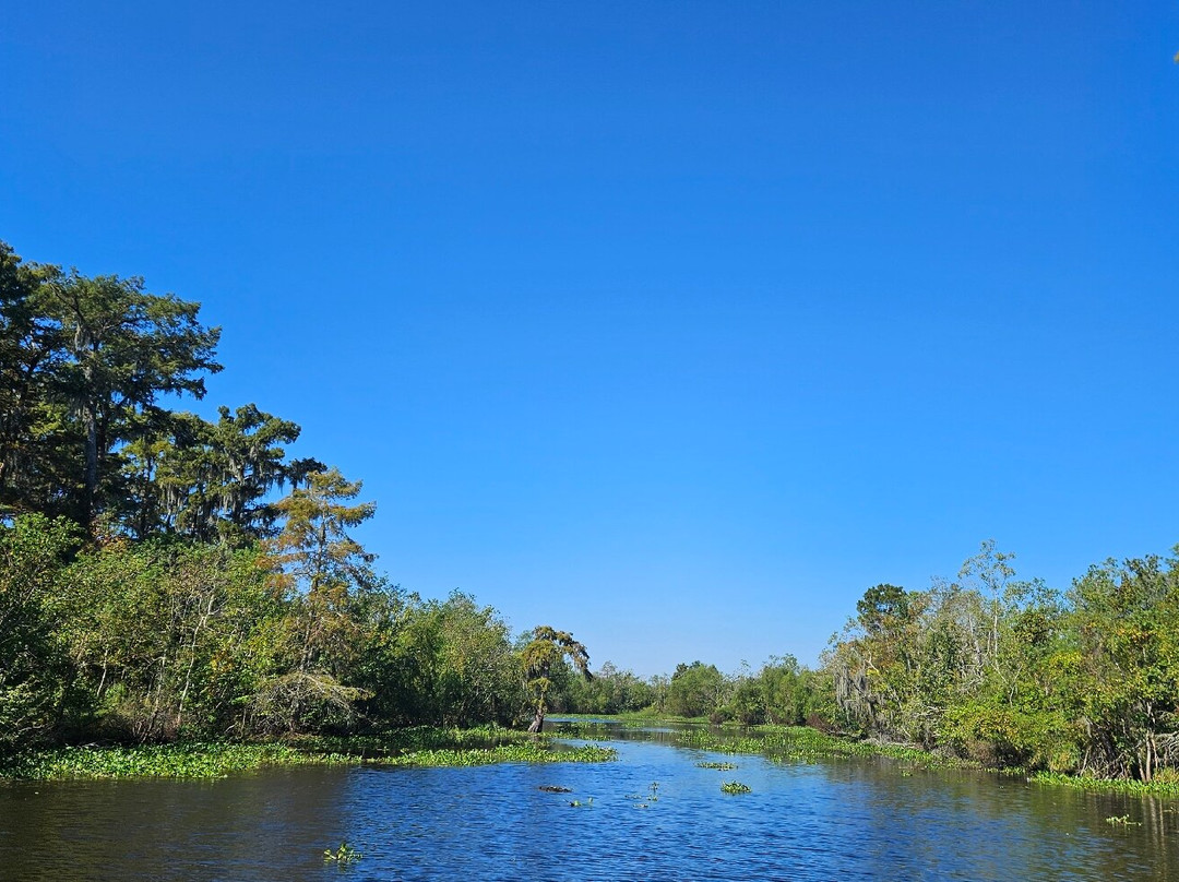 LaBiche Bayou Swamp Tours-Westwego必去景点