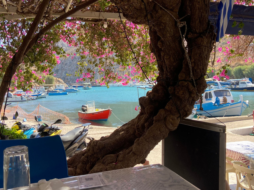 Kos4all Tours-Kós必去景点