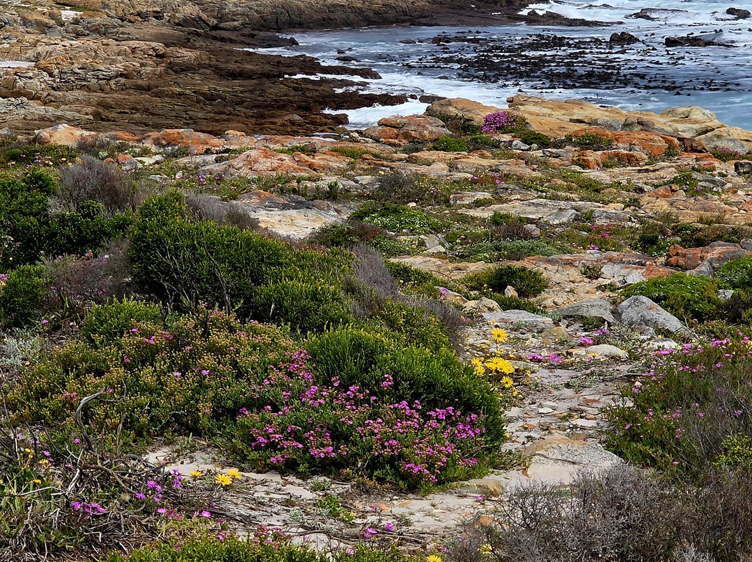 Cape Adventure Zone-开普敦中心区必去景点