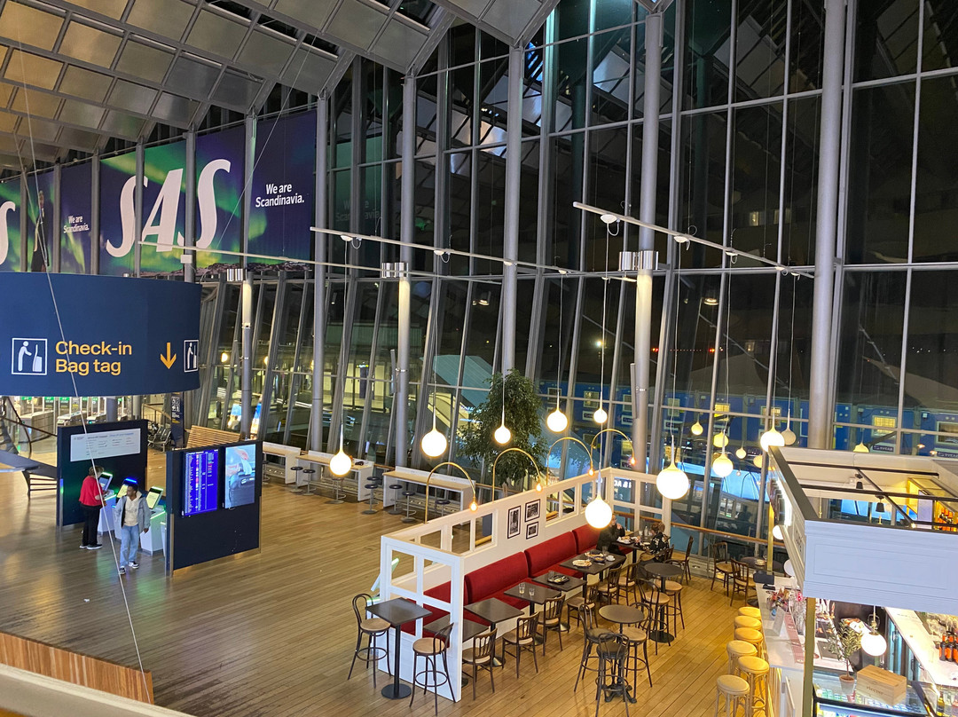 斯德哥尔摩餐馆和美食-Sky Horizon