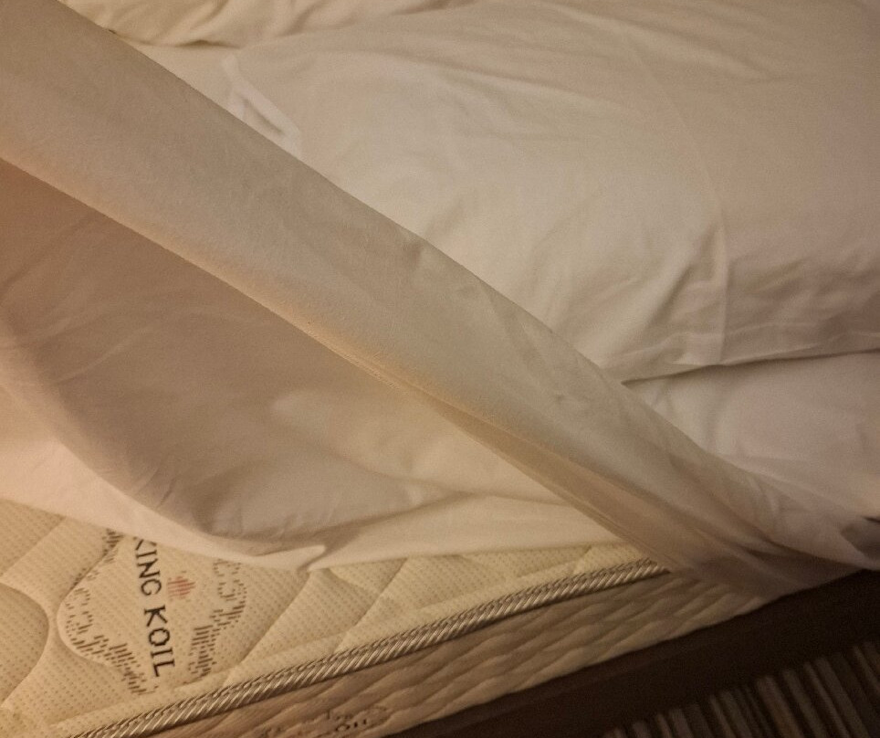 蓟米德尔斯堡酒店主图