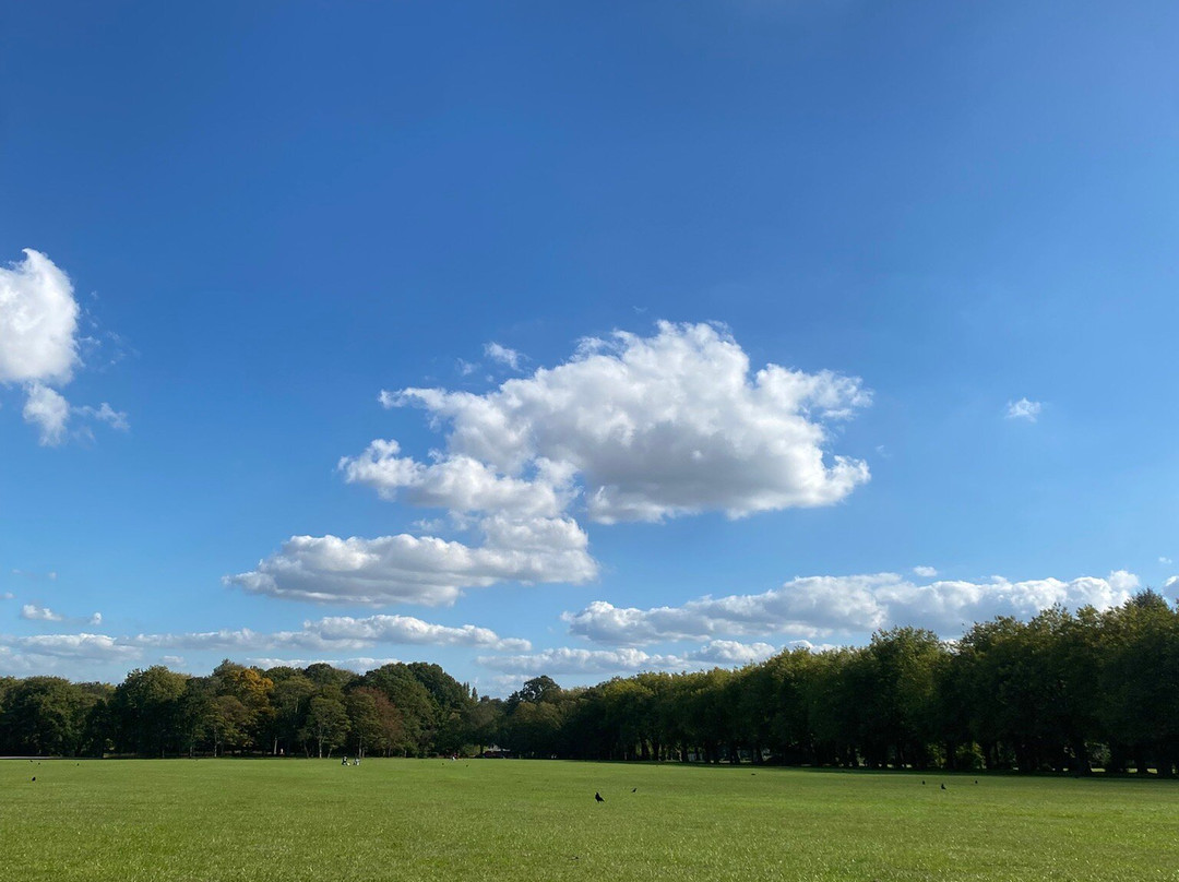 塞夫顿公园-利物浦必去景点