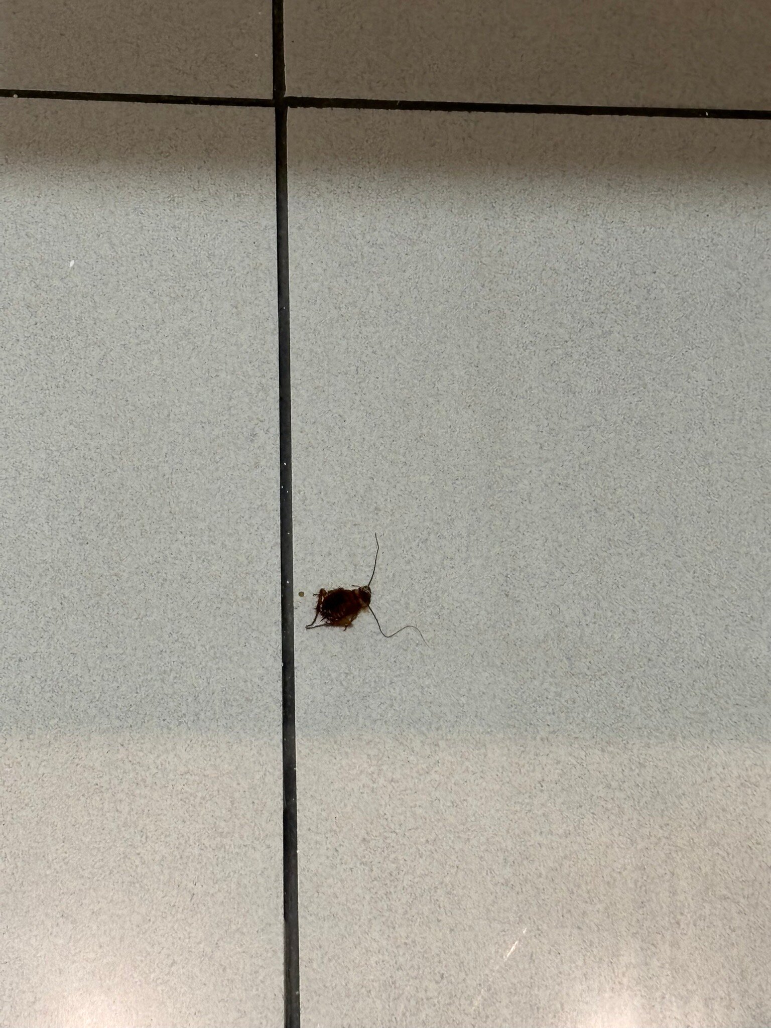 Hostal Valdepeñas By Bossh Hotels-官方