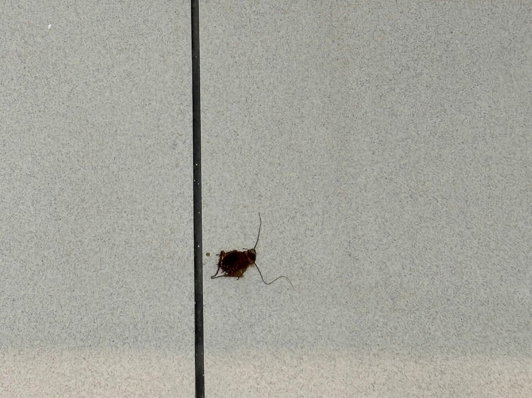 Hostal Valdepeñas By Bossh Hotels主图