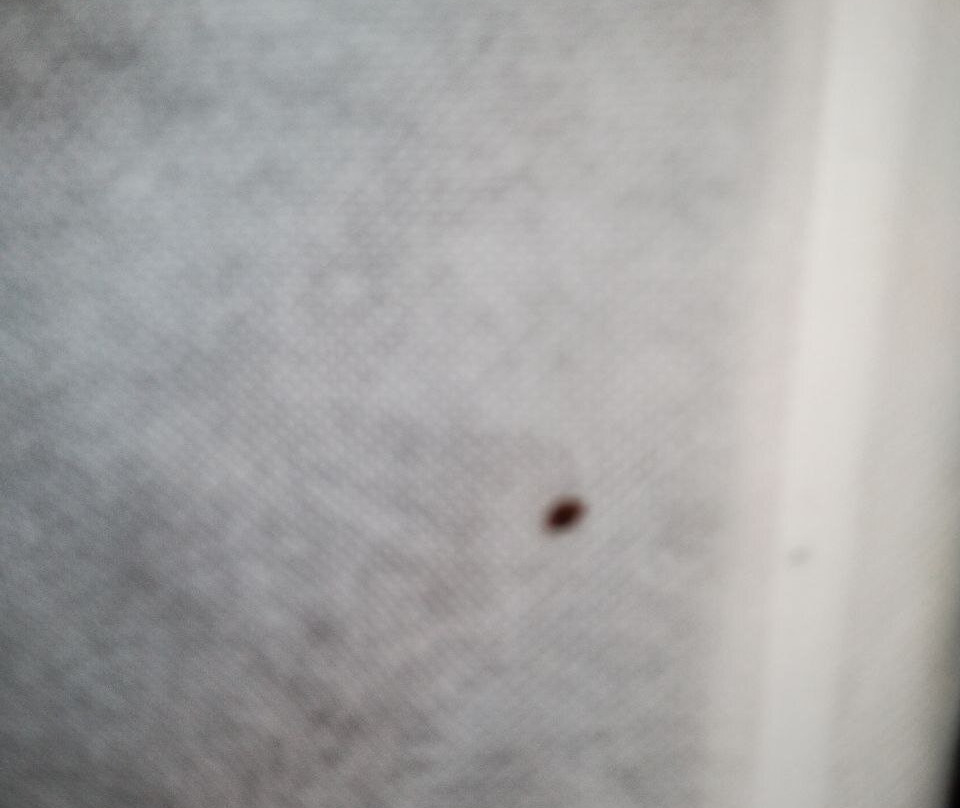 Extended Stay America - Portland - Beaverton主图