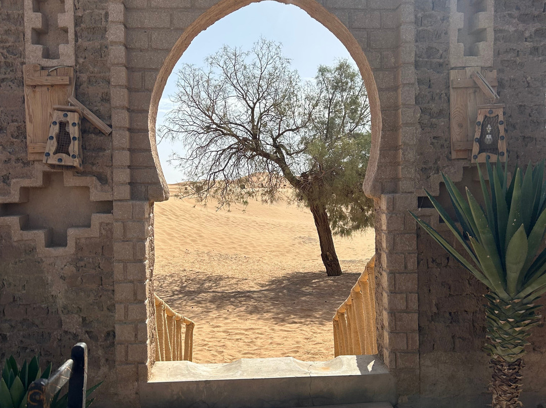 Dades Aventures - Day Tours-瓦尔扎扎特必去景点