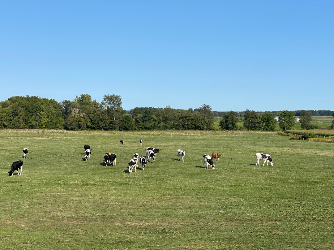 Muranda Cheese Company-Waterloo必去景点