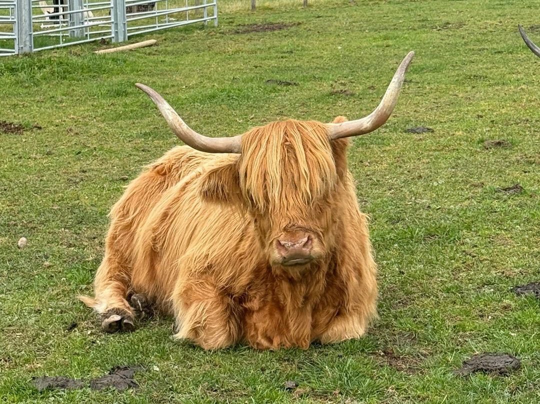 Highland Legends private tours and Transfers-因弗内斯必去景点