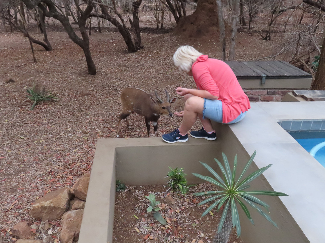 African Sky Villas主图