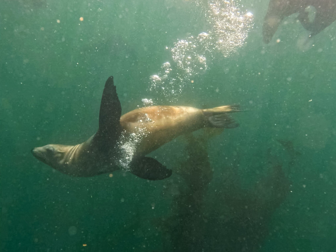 Monterey Expeditions-蒙特雷必去景点