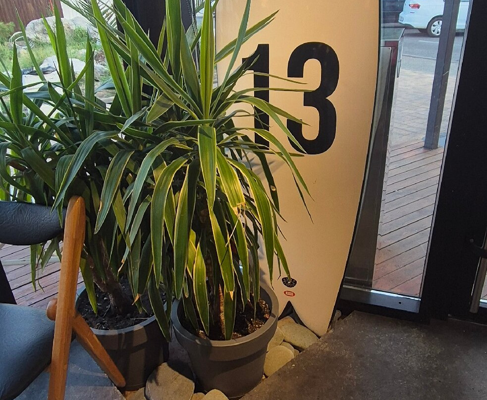 Adler Beach-艾德勒必去景点