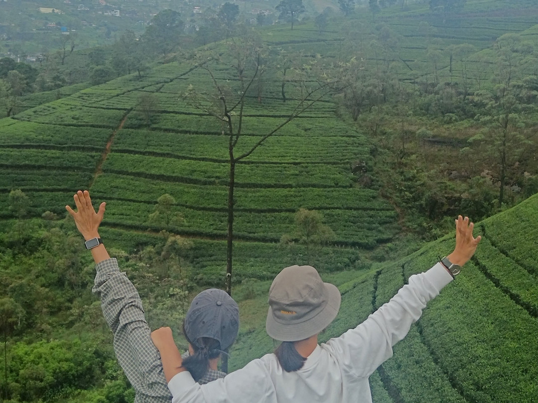 De Silva Travels & Taxi - Nuwara Eliya-奴娃拉伊利雅必去景点
