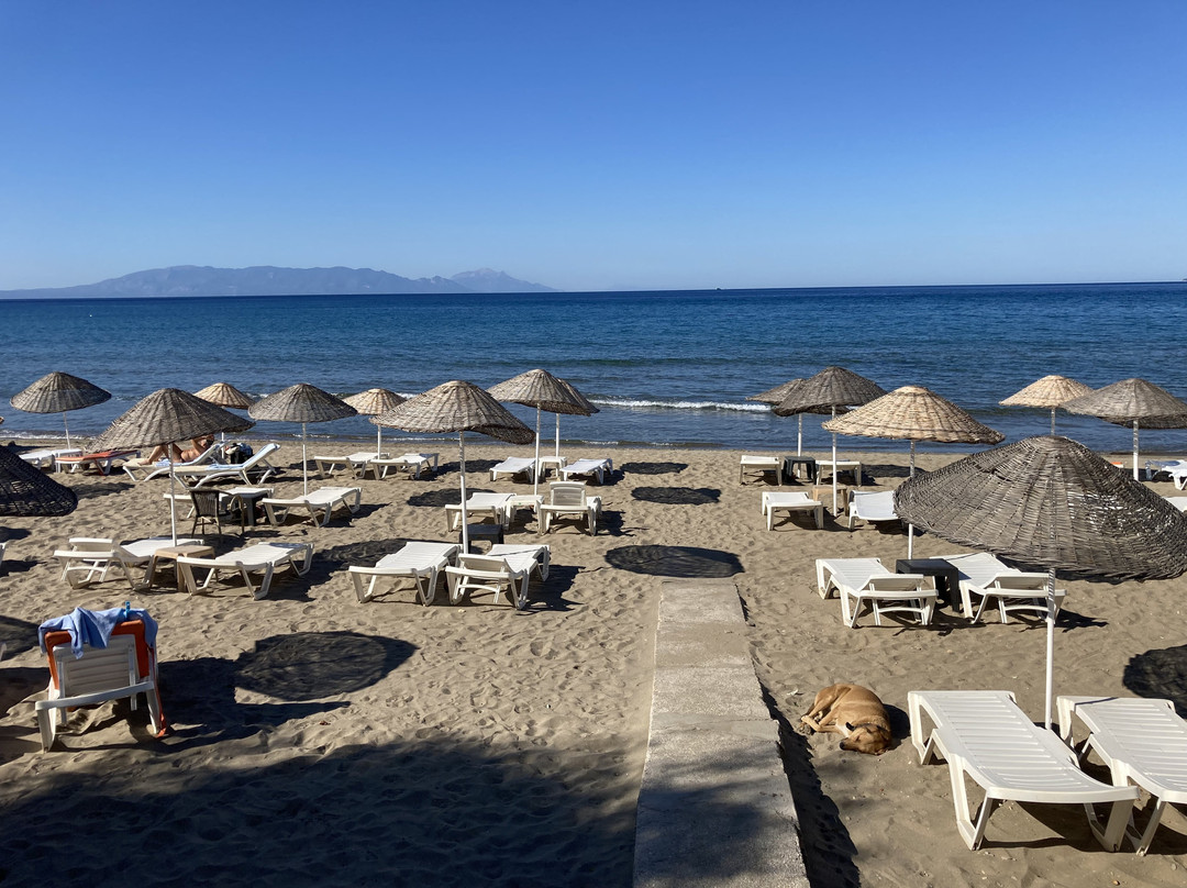 Dogan Paradise Beach Hotel主图