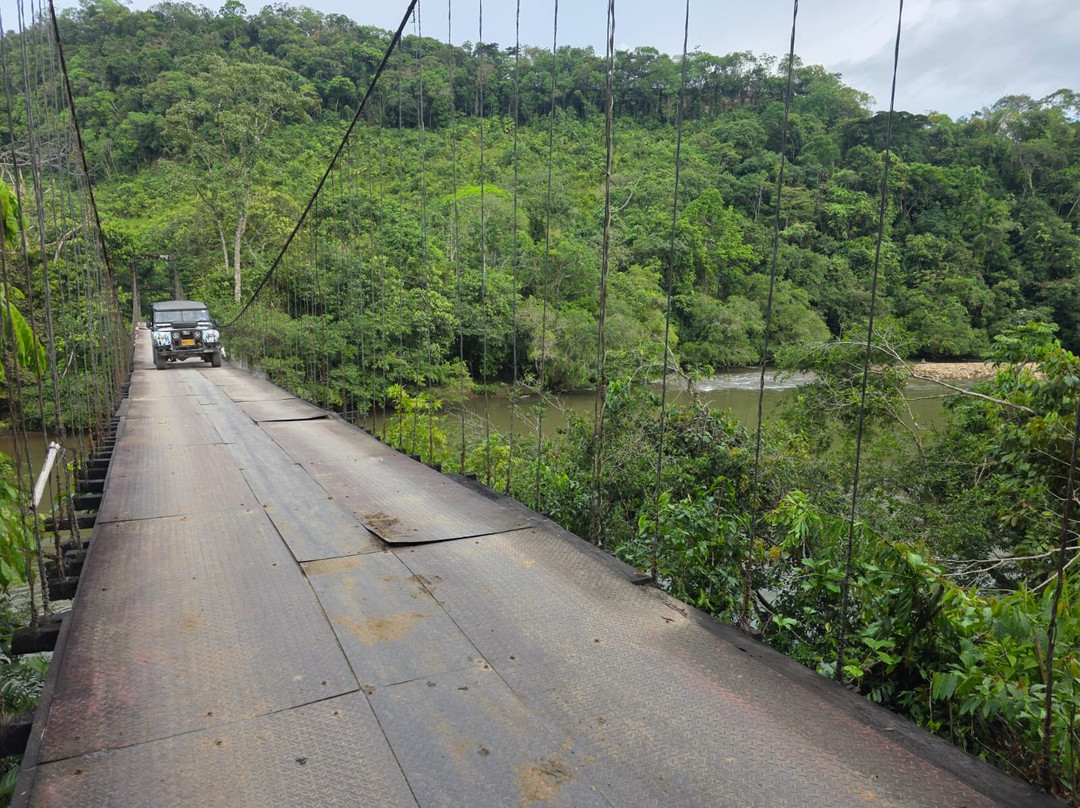 Reserva ecoturística las palmas-Florencia必去景点