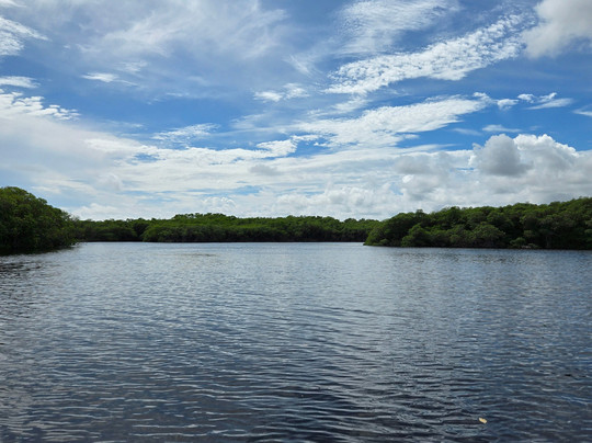 Blue Bliss Charters-朱庇特必去景点