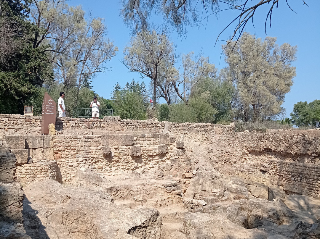 Villas Romaines-迦太基必去景点