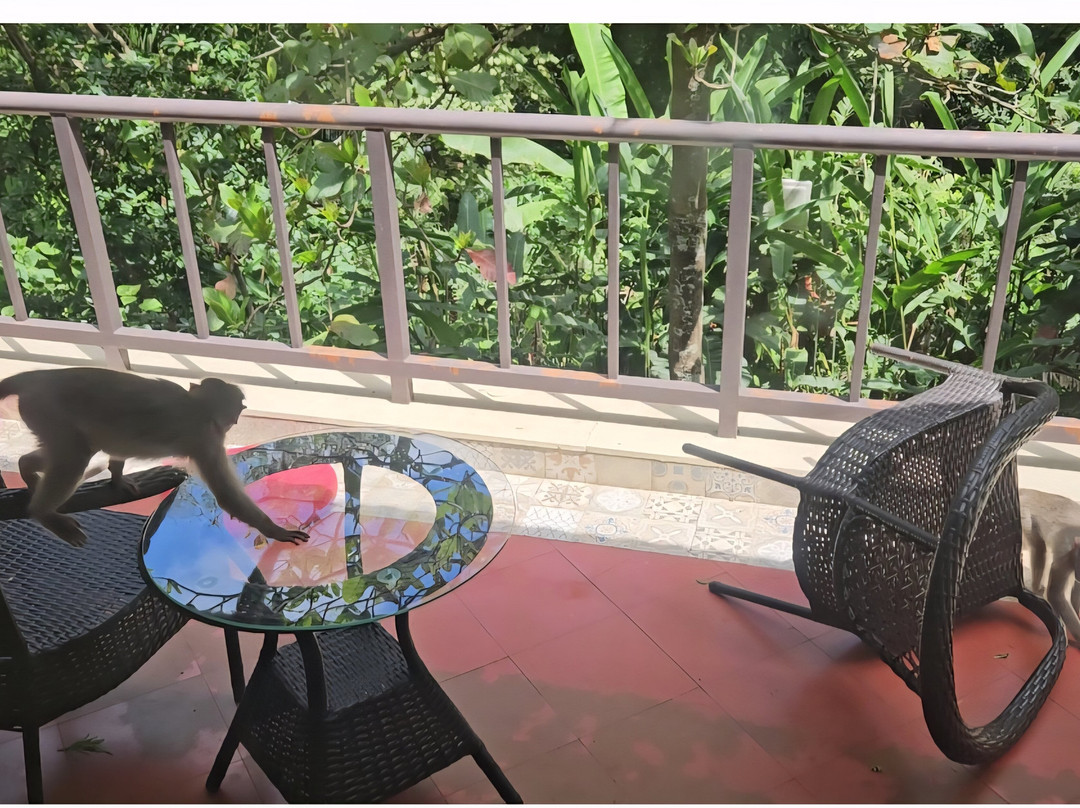 Gateway Chikmagalur主图