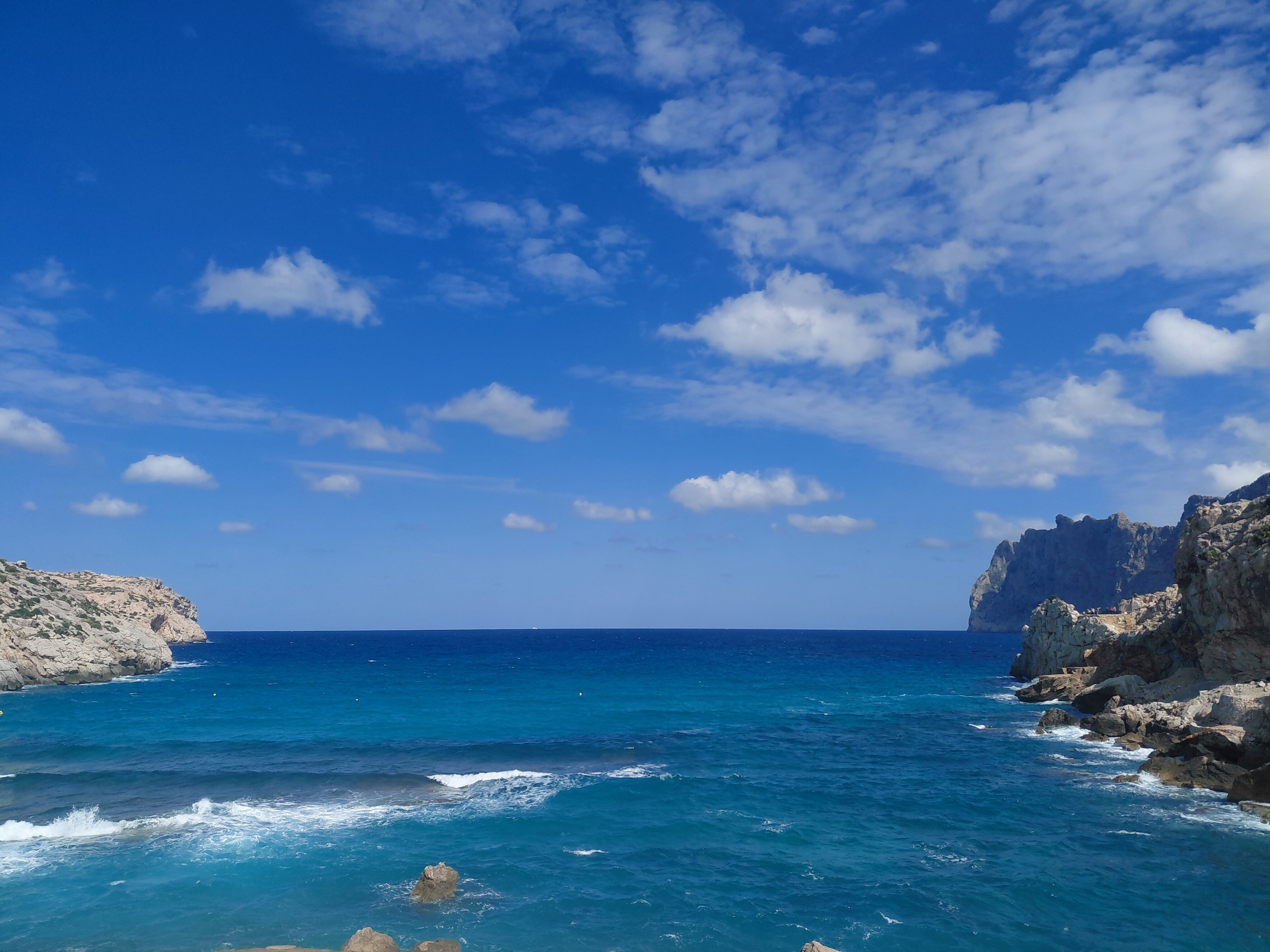 Globales Don Pedro-官方