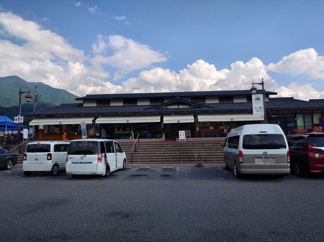 Michi no Eki Hiyoshi Kisokomakogen Sasarindokan-木曾町必去景点