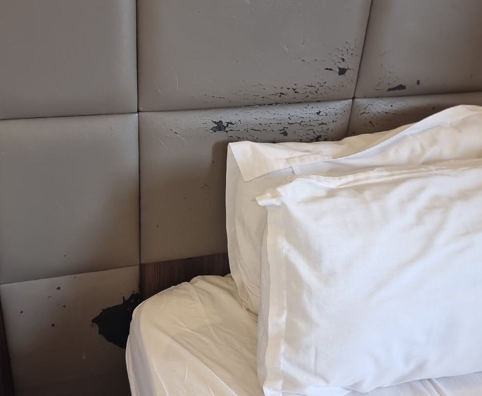 EDEN Phoenix Hotel主图