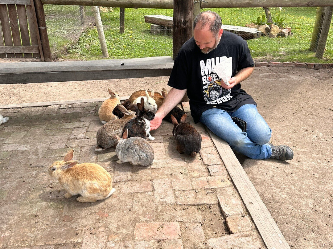 Garden Route Wolf Sanctuary-普利登堡湾必去景点