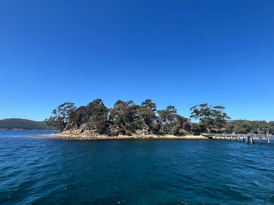Isle of the Dead-亚瑟港必去景点