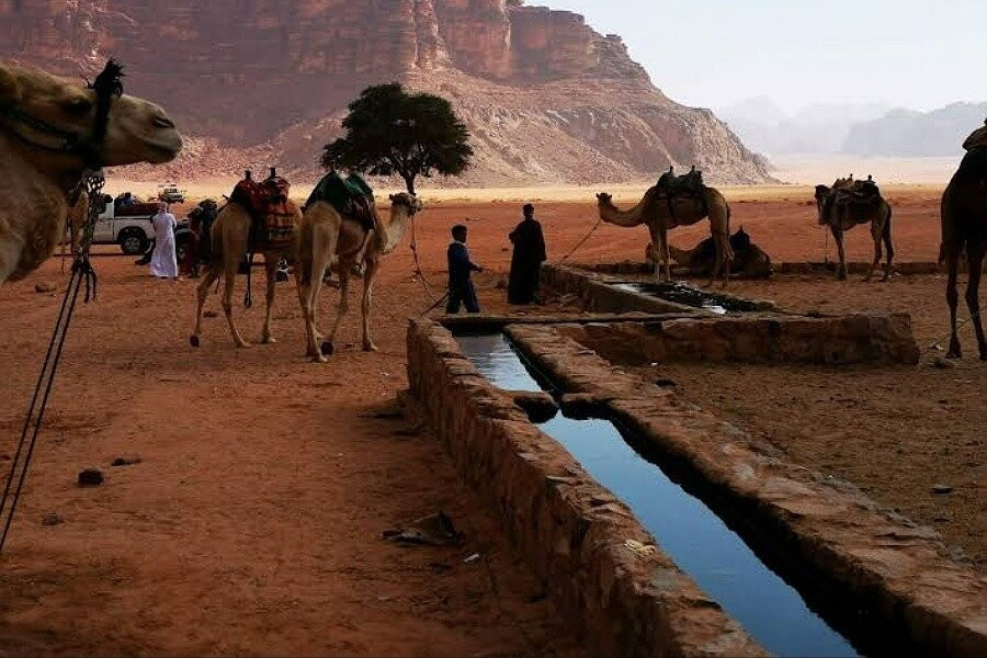 Wadi Rum Crescent-Wadi Rum Village必去景点