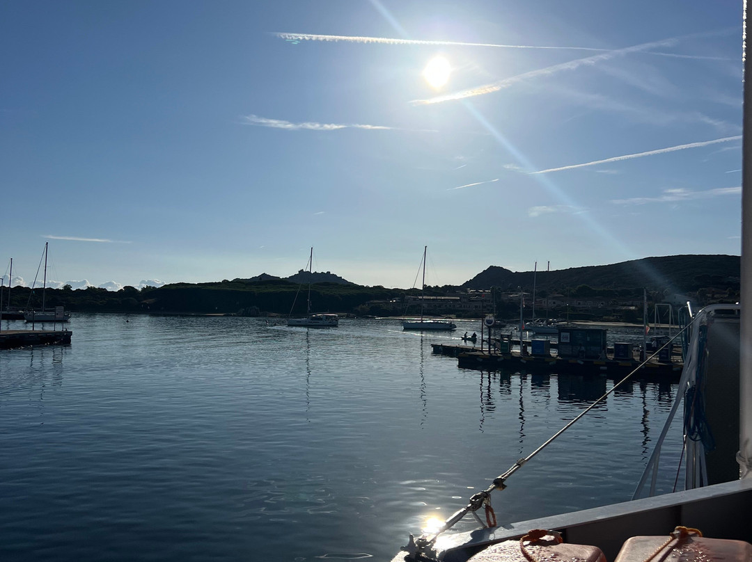 Motonave Petagus-帕劳必去景点